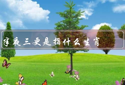 半夜三更是指什么生肖，由来／意义／生肖属狗特点