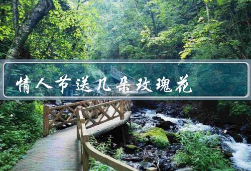 情人节送几朵玫瑰花，玫瑰的象征意义、玫瑰花的选择和搭配