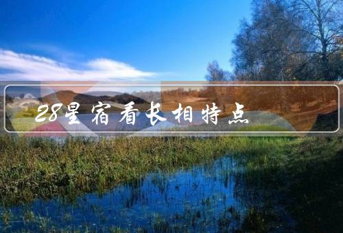 28星宿看长相特点，招摇／角／心