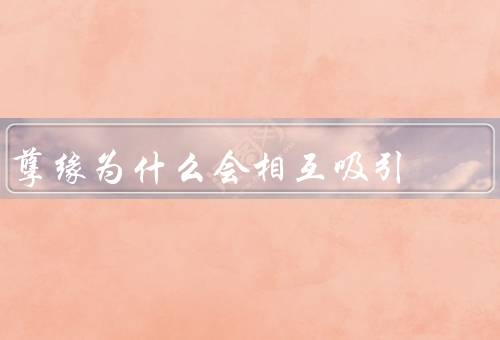孽缘为什么会相互吸引，命运的安排／共同的经历／内心的共鸣