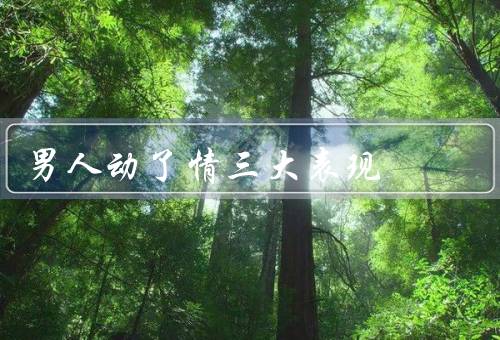 男人动了情三大表现，行为改变／情感表达／关注细节