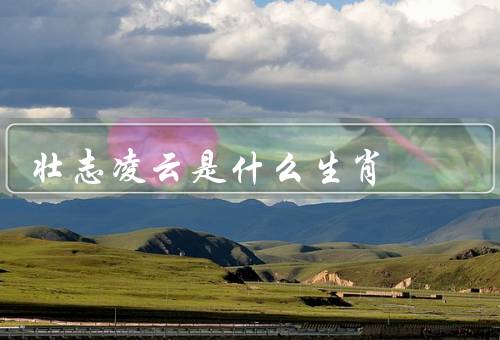 壮志凌云是什么生肖（特点／生肖的象征／与生肖的联系）