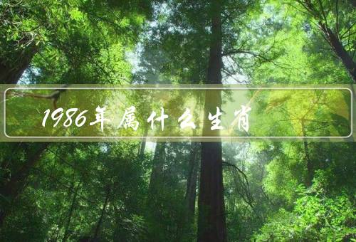 1986年属什么生肖，特点／性格特点／事业与财运
