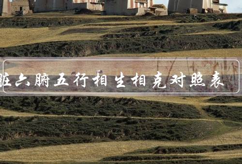 五脏六腑五行相生相克对照表（相生关系、相克关系、相生相克应用）