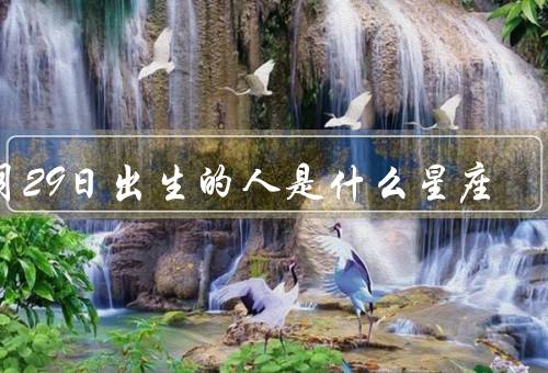 8月29日出生的人是什么星座（性格特点／事业与财运／爱情与家庭）