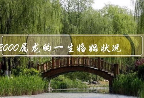 2000属龙的一生婚姻状况（早期阶段、中期阶段、后期阶段）