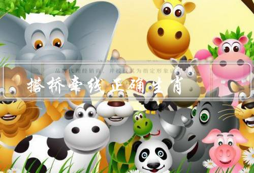 搭桥牵线正确生肖（生肖搭配的原则／正确的生肖搭配）