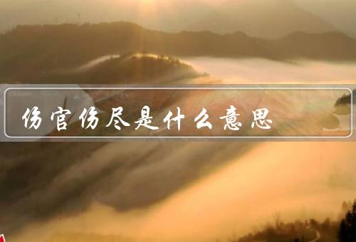 伤官伤尽是什么意思（含义／影响／化解方法）