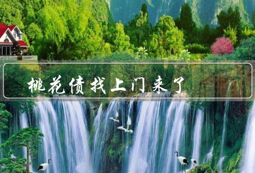 桃花债找上门来了（定义／原因／应对方法）