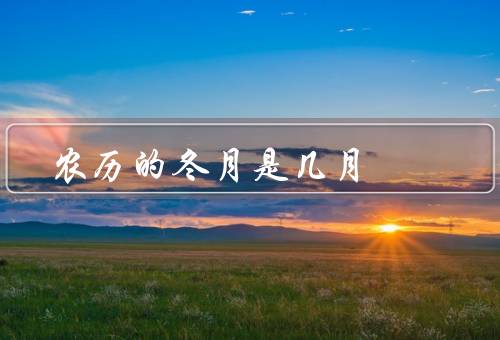 农历的冬月是几月（特点、习俗、结语）