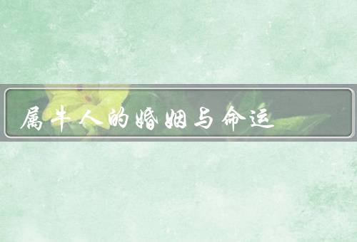 属牛人的婚姻与命运，婚姻稳定／需要保持平衡／避免固执和冲突