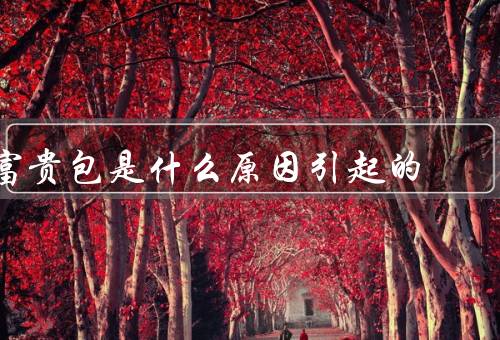富贵包是什么原因引起的（家庭背景、教育和技能、机遇和运气）