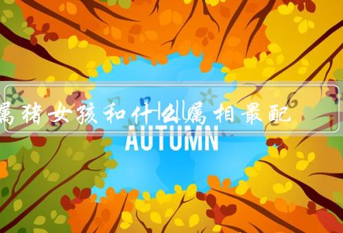 属猪女孩和什么属相最配（属鼠男孩／兔男孩／羊男孩）
