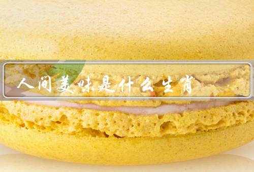 人间美味是什么生肖，享受、文化、创意
