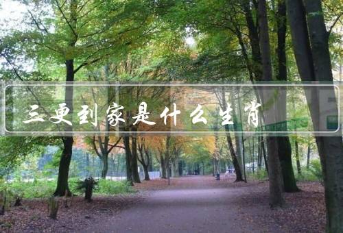 三更到家是什么生肖，特点／人际关系／事业发展