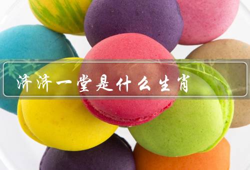 济济一堂是什么生肖，济济一堂特征／优点／缺点