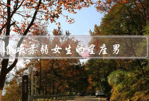 喜欢柔弱女生的星座男（巨蟹座、双鱼座、天秤座）
