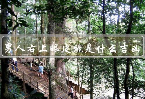 最准男人右上眼皮跳是什么吉凶，吉凶象征／不同寓意／如何看待