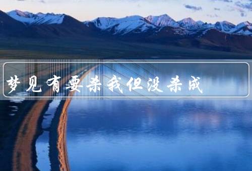 梦见有要杀我但没杀成（梦境中的恐惧／生命的脆弱／人性的复杂）