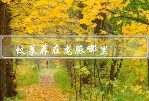 坟墓葬在龙脉哪里最佳（龙脉的定义与作用、选择的龙脉坟墓）