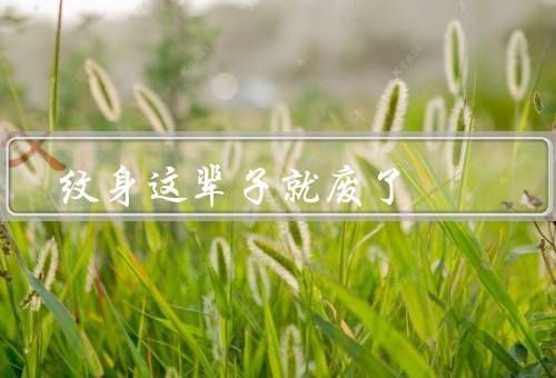 纹身这辈子就废了，认可度／健康风险／未来影响
