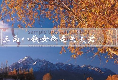 三两八钱女命走失夫君（意外失踪／跨越时空的寻找／重逢与答案）