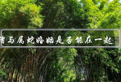 属猪与属蛇婚姻是否能在一起，性格特点／人际关系／家庭观念