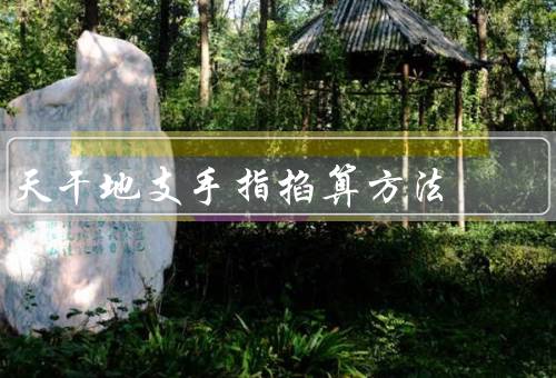 天干地支手指掐算方法（起源／具体步骤／应用）