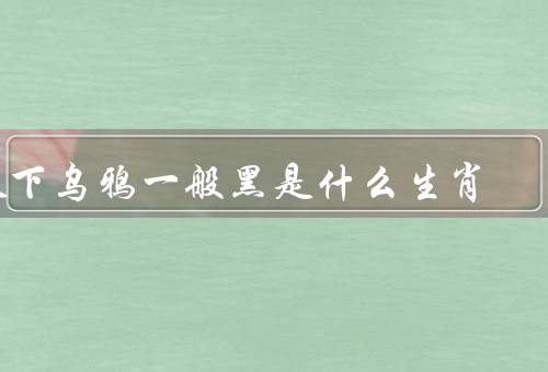 天下乌鸦一般黑是什么生肖，特点、与生肖关系、象征意义