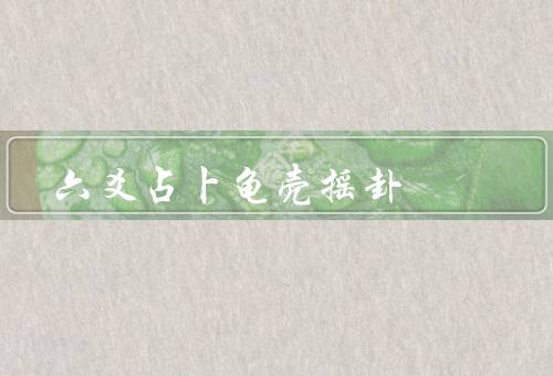 六爻占卜龟壳摇卦，六爻占卜／起源／解读