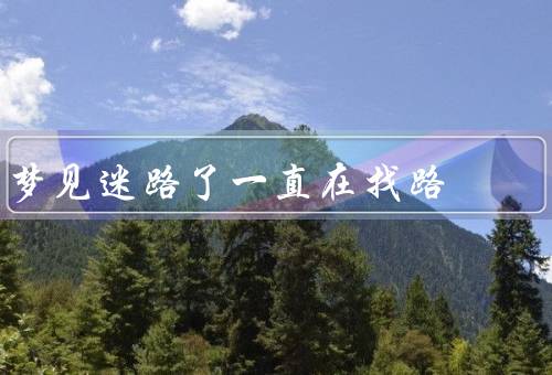 梦见迷路了一直在找路，迷失在未知道路上、焦虑和恐惧、思考与反思