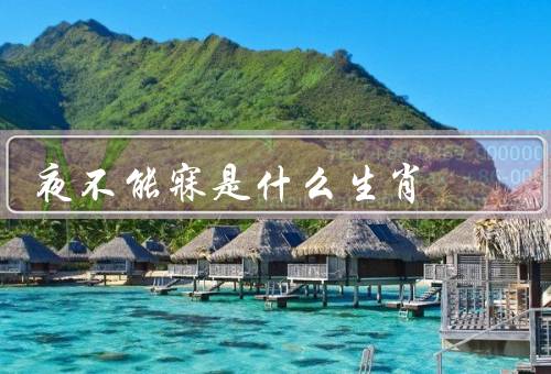 夜不能寐是什么生肖，夜不能寐的生肖、猴子的特点