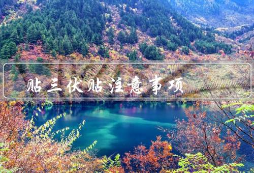 贴三伏贴注意事项（时间／位置／注意事项）
