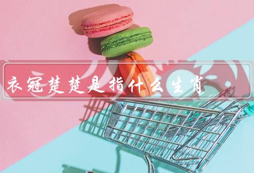 衣冠楚楚是指什么生肖（文质彬彬、举止优雅、衣冠整洁）