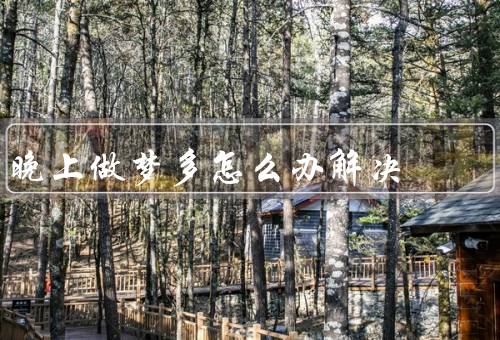 晚上做梦多怎么办解决，保持良好的睡眠习惯、调整饮食习惯