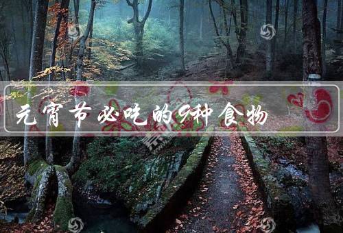 元宵节必吃的9种食物，汤圆／元宵／芝麻球
