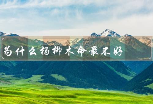 为什么杨柳木命最不好（生长速度快、木材质地差、寿命短）