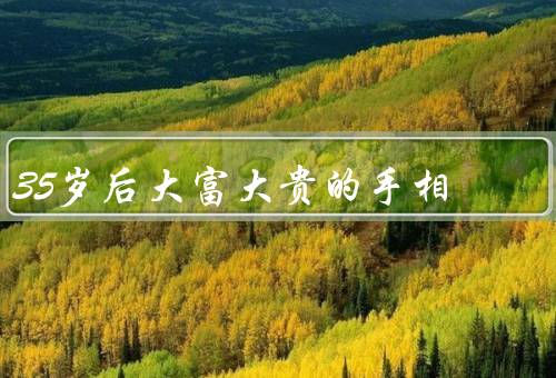 35岁后大富大贵的手相（富贵线、山、线）
