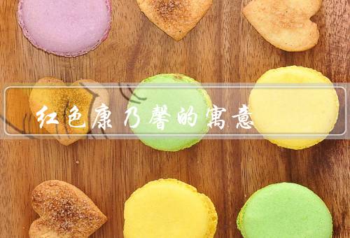 红色康乃馨的寓意（象征意义、美丽花语、送花场合）
