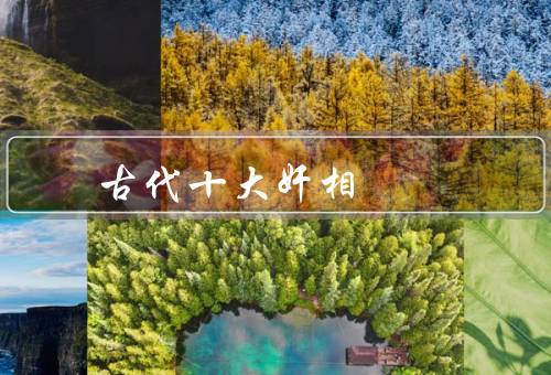 中国古代十大奸相（赵高、李斯、曹）