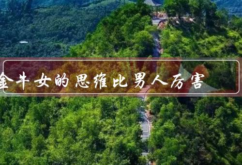金牛女的思维比男人厉害（敏锐的观察力、稳定的思维方式）