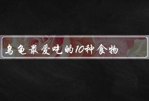 乌龟最爱吃的10种食物（水生植物、浆果类水果、叶菜类蔬菜）