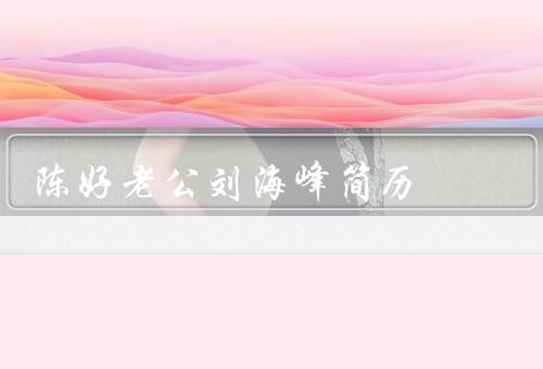 陈好老公刘海峰简历，早年经历、职业成就、个人生活