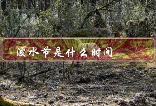 泼水节是什么时间，起源／庆祝活动／意义