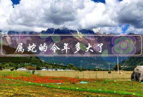 属蛇的今年多大了（多大了、运势、需要注意事项）