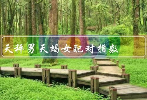 天秤男天蝎女配对指数，性格特点、相处模式、情感匹配度