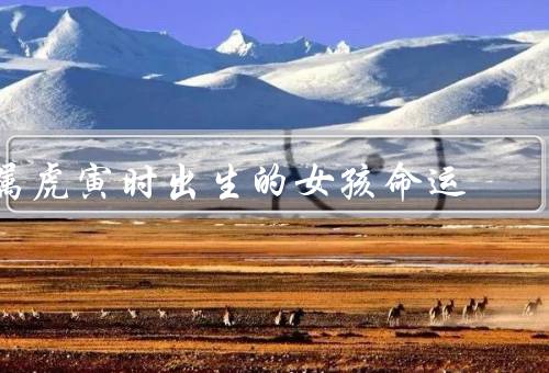 属虎寅时出生的女孩命运，聪明才智、独立自主、情绪管理