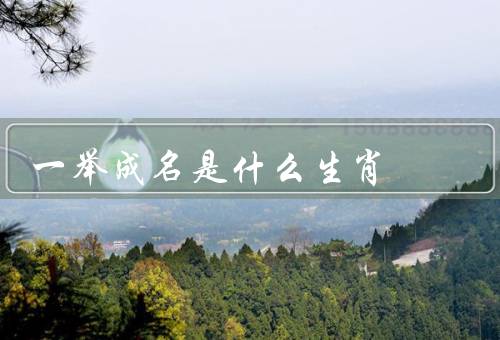 一举成名是什么生肖（聪明才智／勤奋努力／机遇和机智）
