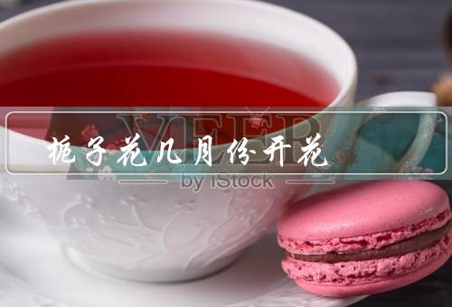 栀子花几月份开花，开花时间／特点／养殖技巧