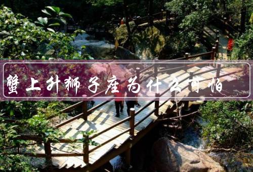 巨蟹上升狮子座为什么可怕（自我中心／控制欲／情绪化）